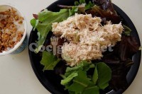 Captura de Salada de frango com iogurte